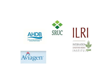 Lessons from the past:  How performance data availability and quality has led to genetic and economic gains in different breeds