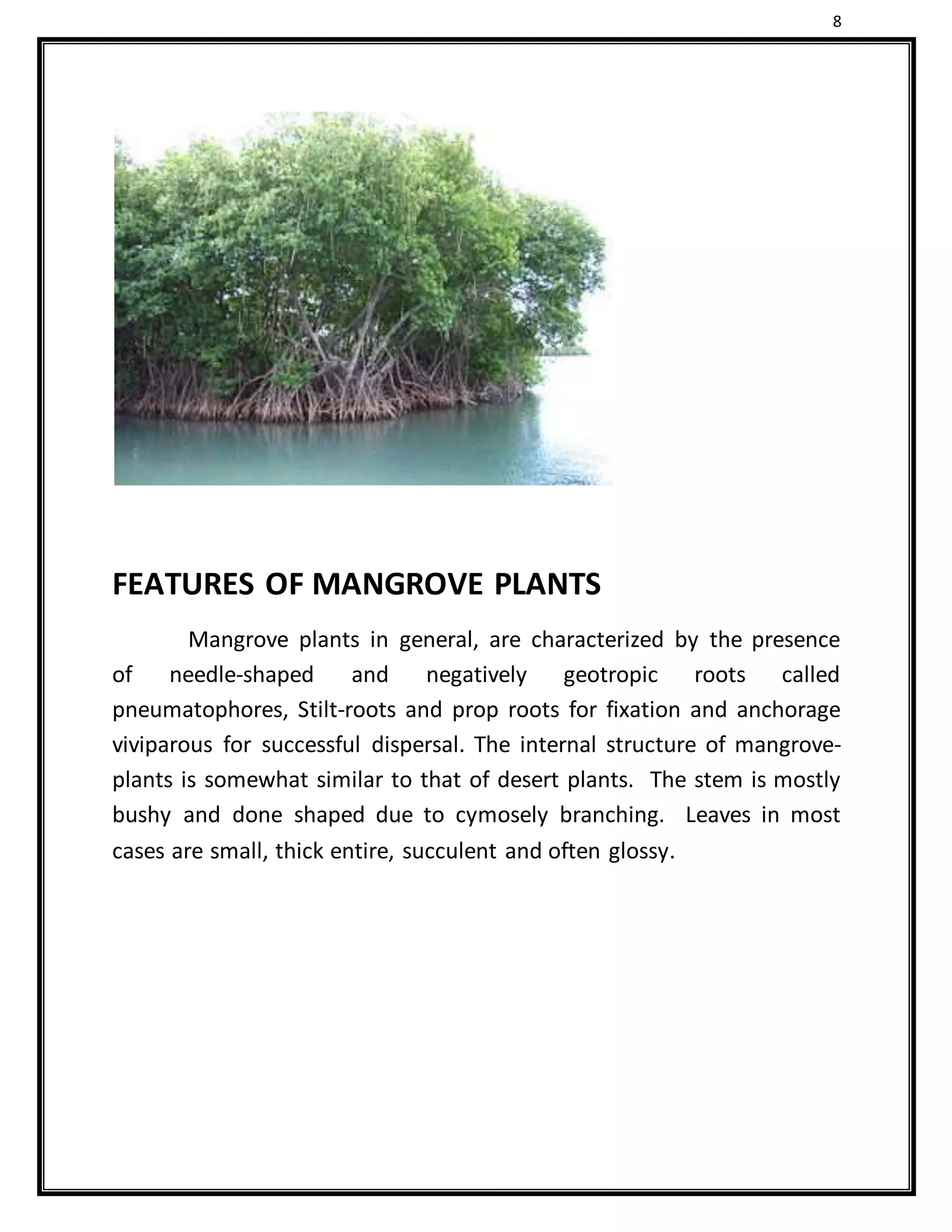 8
FEATURES OF MANGROVE PLANTS
Mangrove plants in general, are characterized by the presence
of needle-shaped and negatively geotropic roots called
pneumatophores, Stilt-roots and prop roots for fixation and anchorage
viviparous for successful dispersal. The internal structure of mangrove-
plants is somewhat similar to that of desert plants. The stem is mostly
bushy and done shaped due to cymosely branching. Leaves in most
cases are small, thick entire, succulent and often glossy.
 
