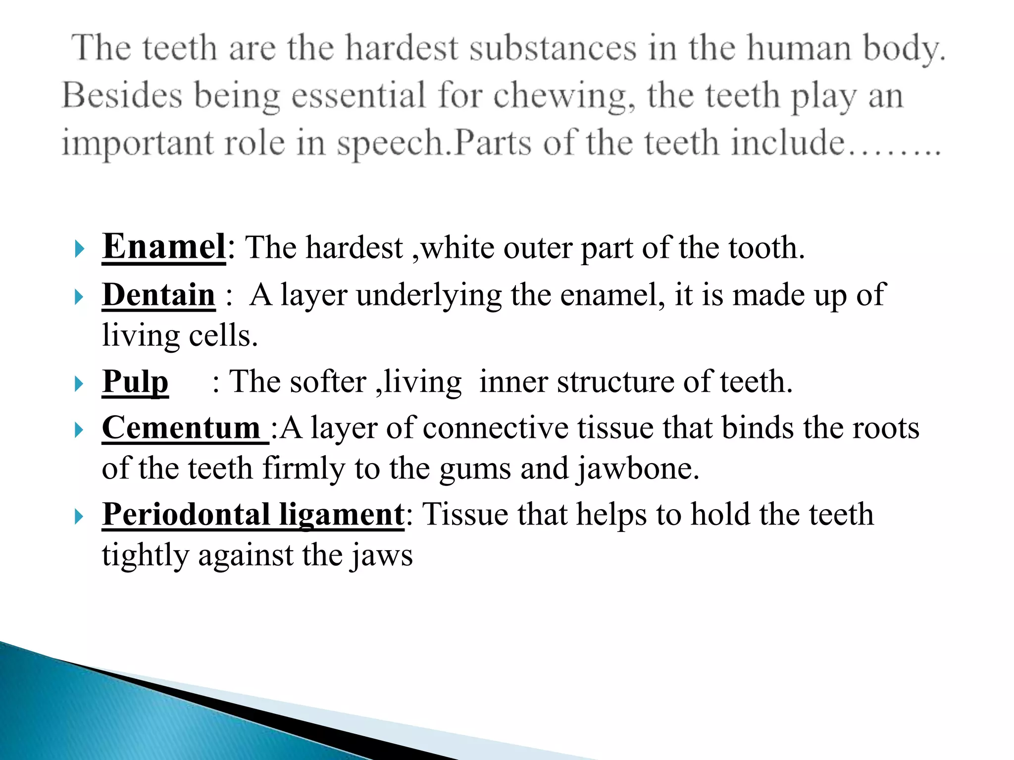  Enamel: The hardest ,white outer part of the tooth.
Dentain : A layer underlying the enamel, it is made up of
living cells.
Pulp : The softer ,living inner structure of teeth.
Cementum :A layer of connective tissue that binds the roots
of the teeth firmly to the gums and jawbone.
Periodontal ligament: Tissue that helps to hold the teeth
tightly against the jaws
