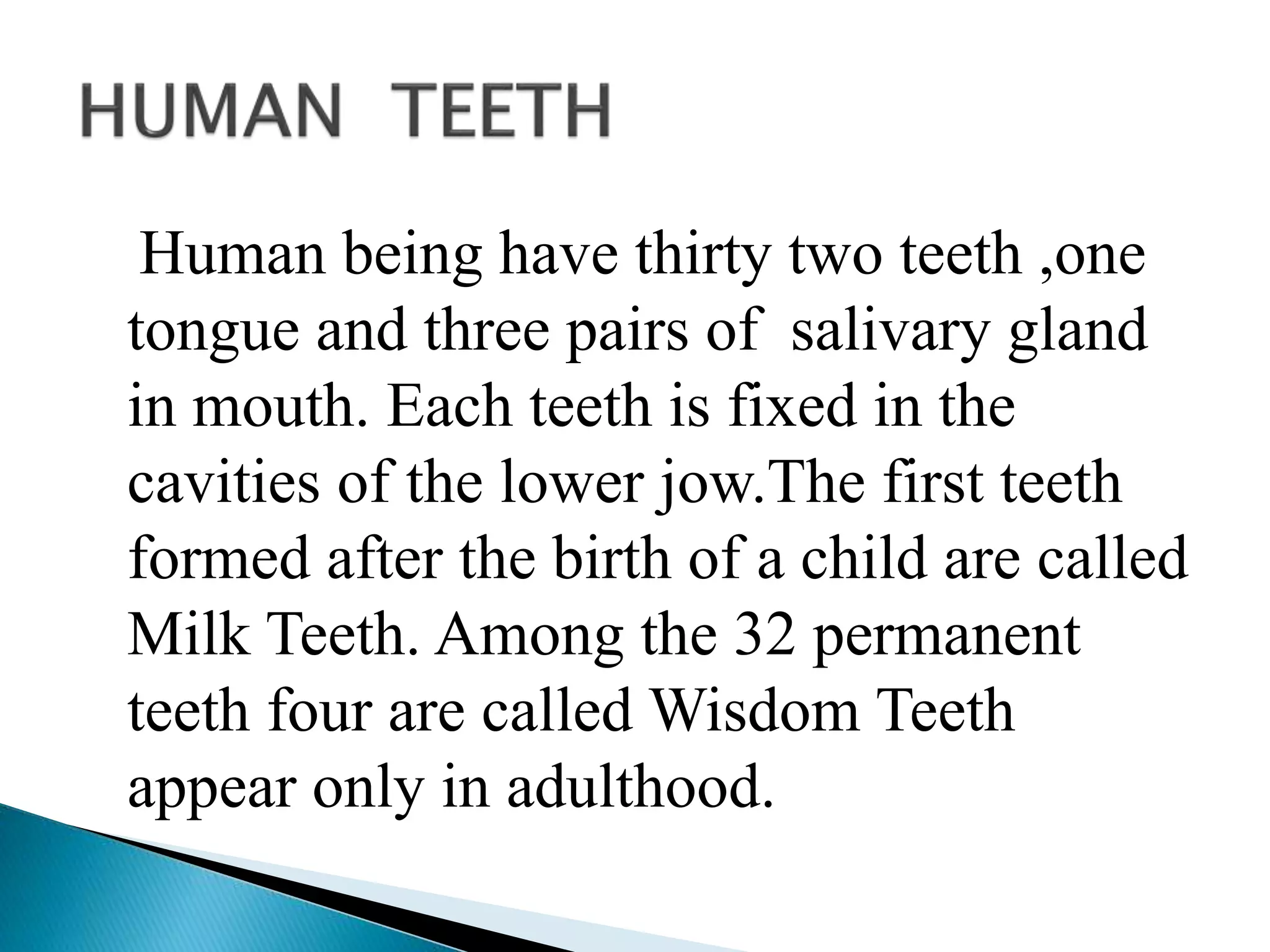 Human being have thirty two teeth ,one
tongue and three pairs of salivary gland
in mouth. Each teeth is fixed in the
cavities of the lower jow.The first teeth
formed after the birth of a child are called
Milk Teeth. Among the 32 permanent
teeth four are called Wisdom Teeth
appear only in adulthood.