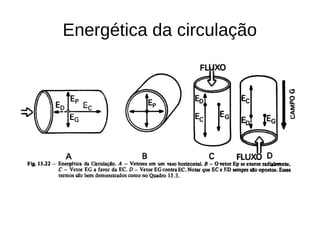 Energética da circulação
 