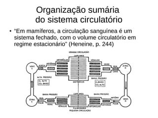 Organização sumária
do sistema circulatório
● “Em mamíferos, a circulação sanguínea é um
sistema fechado, com o volume circulatório em
regime estacionário” (Heneine, p. 244)
 