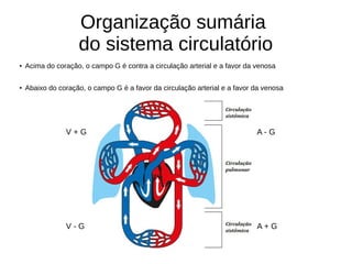 Organização sumária
do sistema circulatório
● Acima do coração, o campo G é contra a circulação arterial e a favor da venosa
● Abaixo do coração, o campo G é a favor da circulação arterial e a favor da venosa
V + G A - G
V - G A + G
 