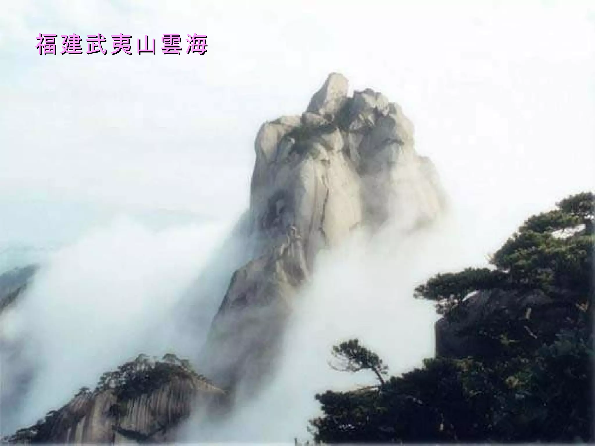 福建武夷山雲海 