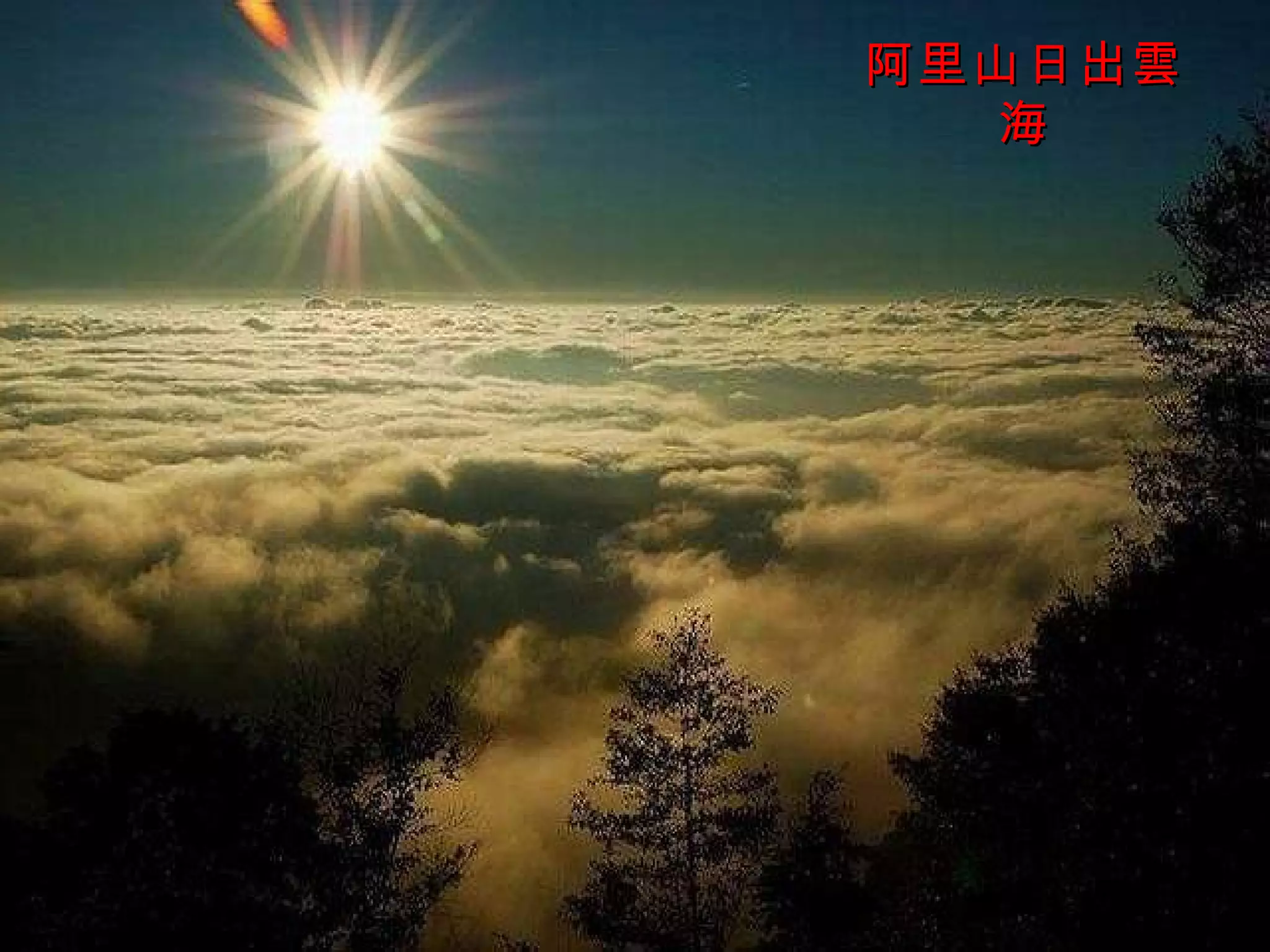 阿里山日出雲海 