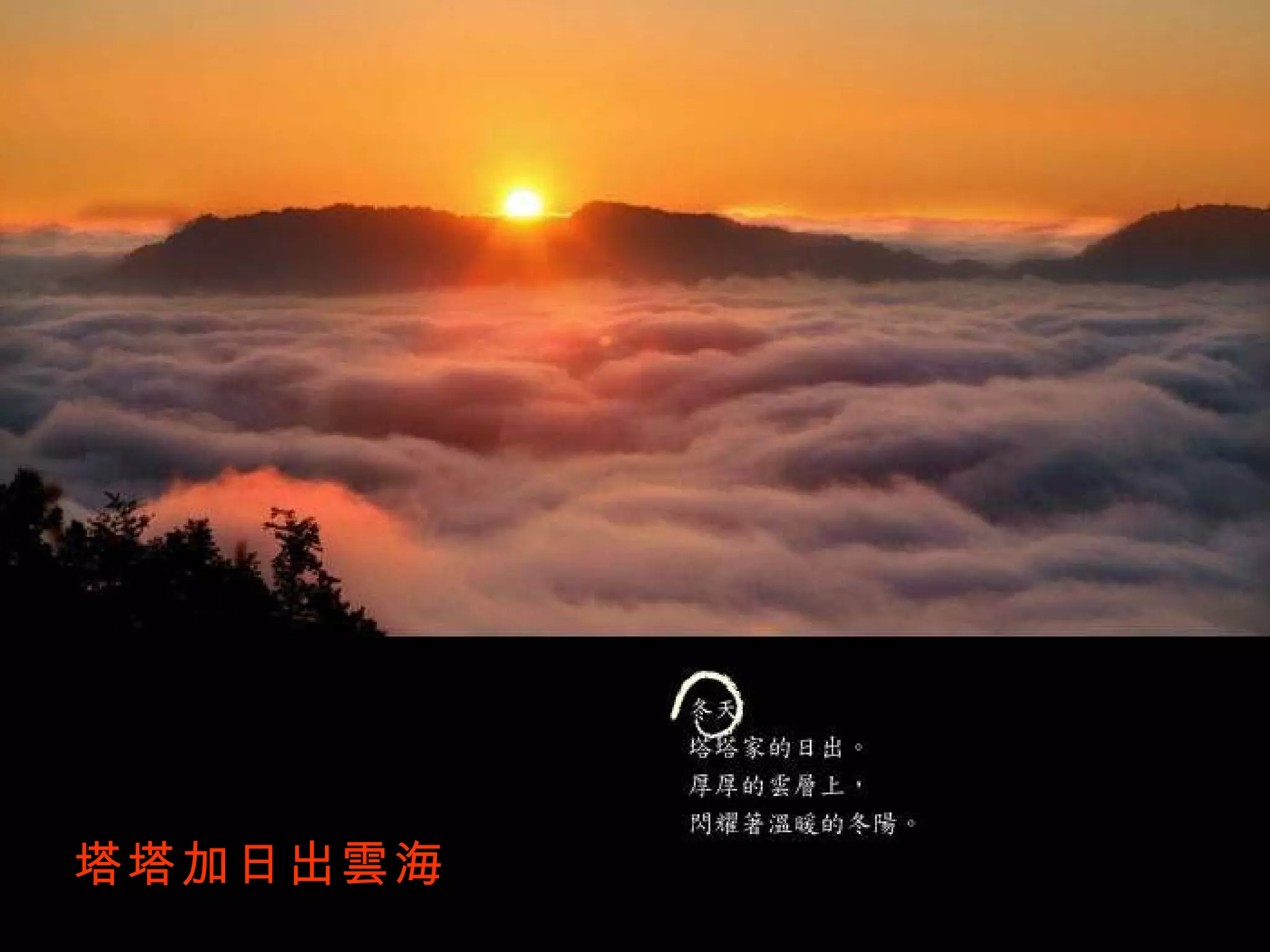 塔塔加日出雲海 