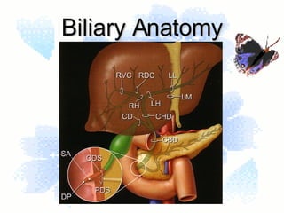 Biliary Anatomy 