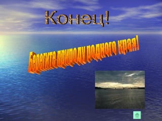 Конец! Берегите природу родного края! 