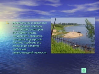 Удивительное и красочное многообразие природы нашего края, о котором так любили писать натуралисты прошлого, находится под угрозой. Поэтому проблема его сохранения является проблемой первоочередной важности. 
