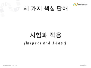 세 가지 핵심 단어 시험과 적용 (Inspect and Adapt) 