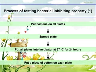Process of testing bacterial inhibiting property  ( 1 ) Put bacteria on all plates Spread plate Put all plates into incubator at 37  o C for 24 hours Put a piece of cotton on each plate 