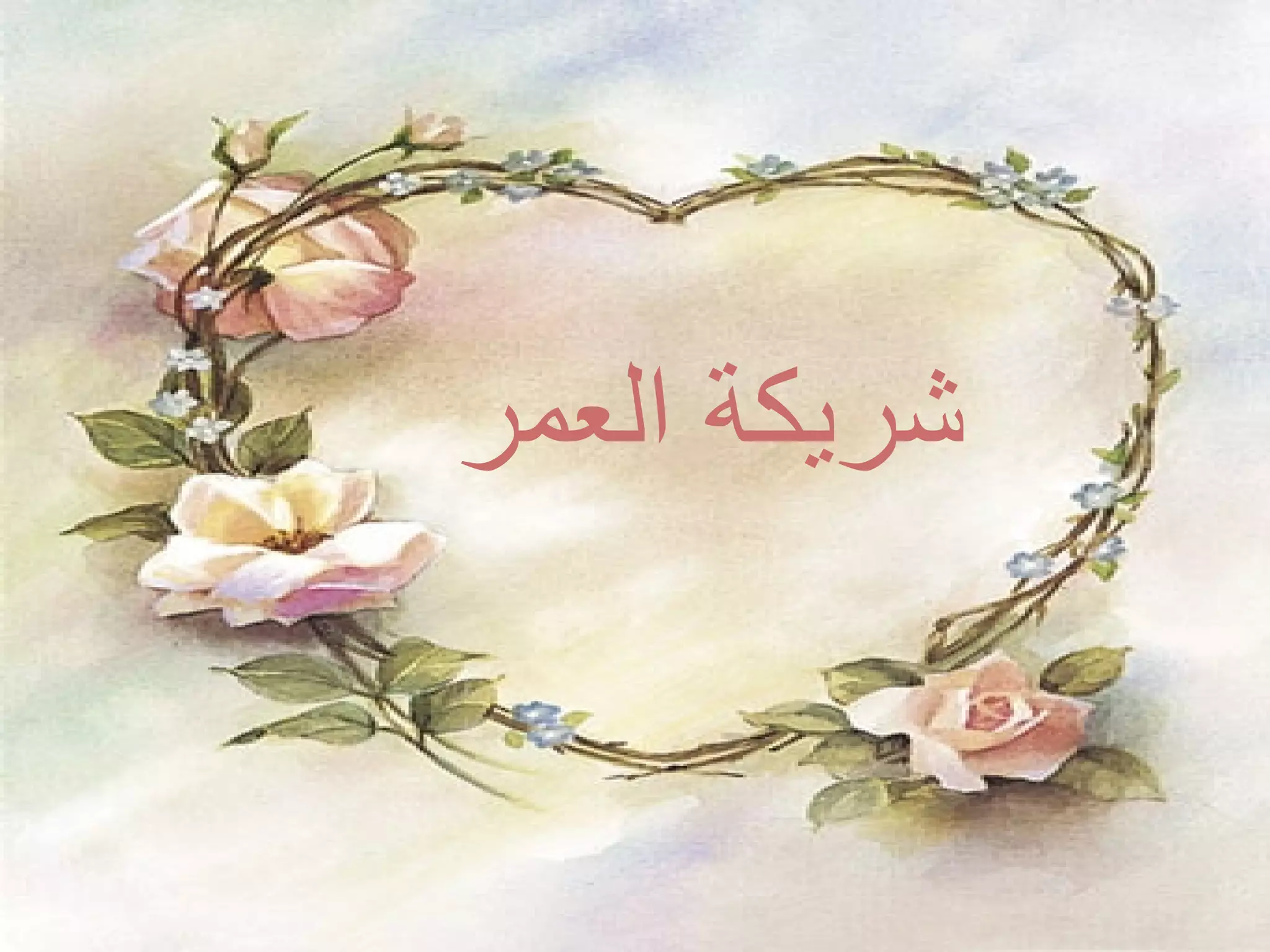 شريكة العمر 