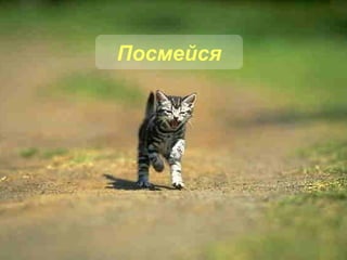 Посмейся 