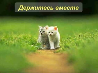 Держитесь вместе 