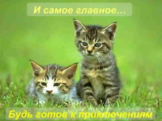 И самое главное… Будь готов к приключениям 