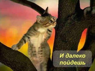 И далеко пойдешь 