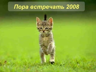 Пора встречать 2008 