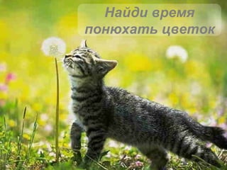 Найди время понюхать цветок 