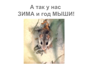 А так у нас  ЗИМА и год МЫШИ! 