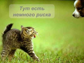 Тут есть немного риска 