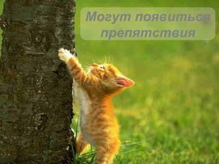 Могут появиться препятствия 