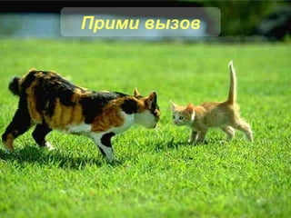 Прими вызов 