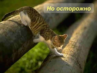 Но осторожно 