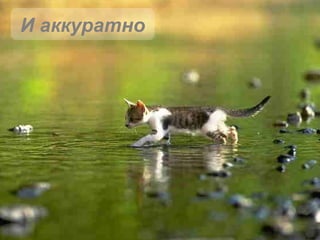 И аккуратно 
