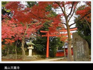 嵐山天龍寺 