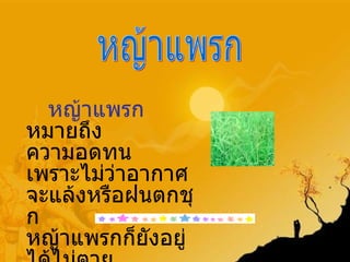 หญ้าแพรก   หมายถึง ความอดทน เพราะไม่ว่าอากาศจะแล้งหรือฝนตกชุก หญ้าแพรกก็ยังอยู่ได้ไม่ตาย หญ้าแพรก 