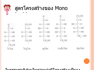 สูตรโครงสร้างของ  Mono saccharide ในธรรมชาติส่วนใหญ่พบว่ามีโครงสร้างเป็นวง เนื่องจากเป็นโครงสร้างเสถียรกว่า 