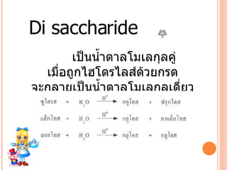 Di saccharide เป็นน้ำตาลโมเลกุลคู่ เมื่อถูกไฮโดรไลส์ด้วยกรด จะกลายเป็นน้ำตาลโมเลกุลเดี่ยว ดังนี้ 