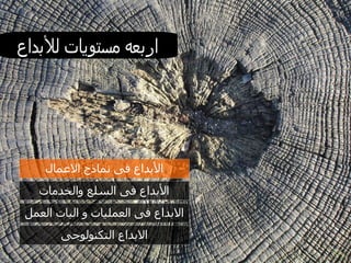 اربعه مستويات للأبداع   الأبداع فى نماذج الاعمال الأبداع فى السلع والخدمات الابداع فى العمليات و اليات العمل الابداع التكنولوجى 