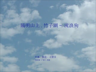 陽明山上 . 竹子湖 ~ 流浪狗 拍攝 / 製造：尤慧芬 2008 / 01 /08 
