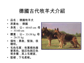 德國古代牧羊犬介紹 品名： 德國牧羊犬　 原產地： 德國  身高： 公->  60-65 cm  母->  55-60 cm  體重： 公->  33-38 kg  母->  26-31 kg  個性：勇敢、堅強、很聰明。 毛色毛質：有黃褐色雜著黑色、狼灰色與灰色等多種，其上毛硬直、 堅硬，下毛柔軟。 