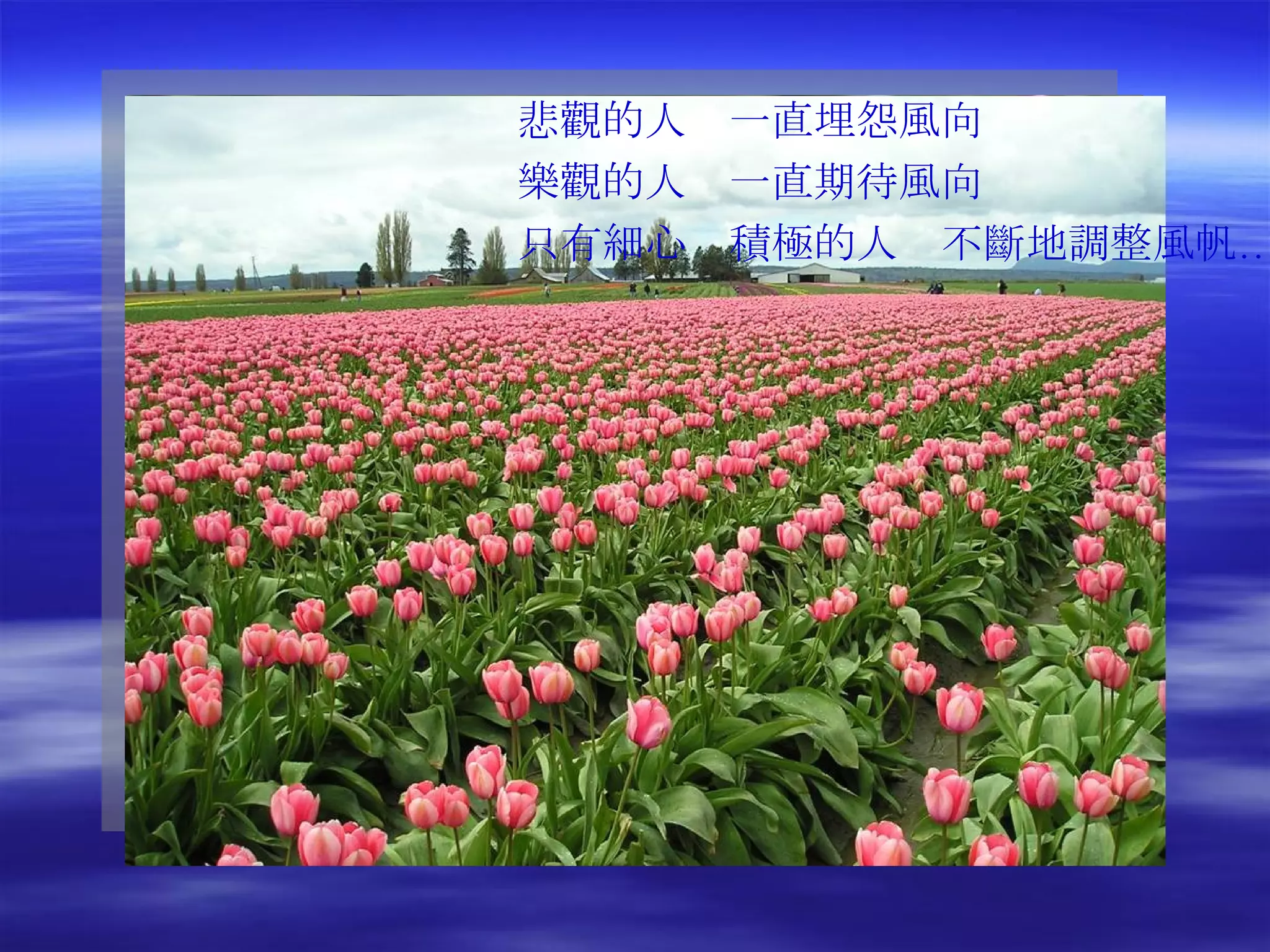 悲觀的人　一直埋怨風向 樂觀的人　一直期待風向 只有細心　積極的人  不斷地調整風帆… 