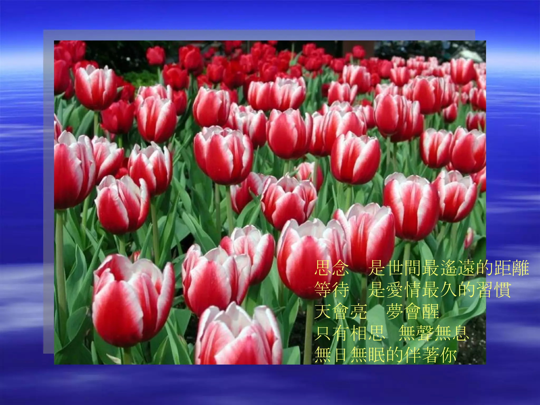 思念　是世間最遙遠的距離 等待　是愛情最久的習慣 天會亮　夢會醒 只有相思  無聲無息 無日無眠的伴著你   