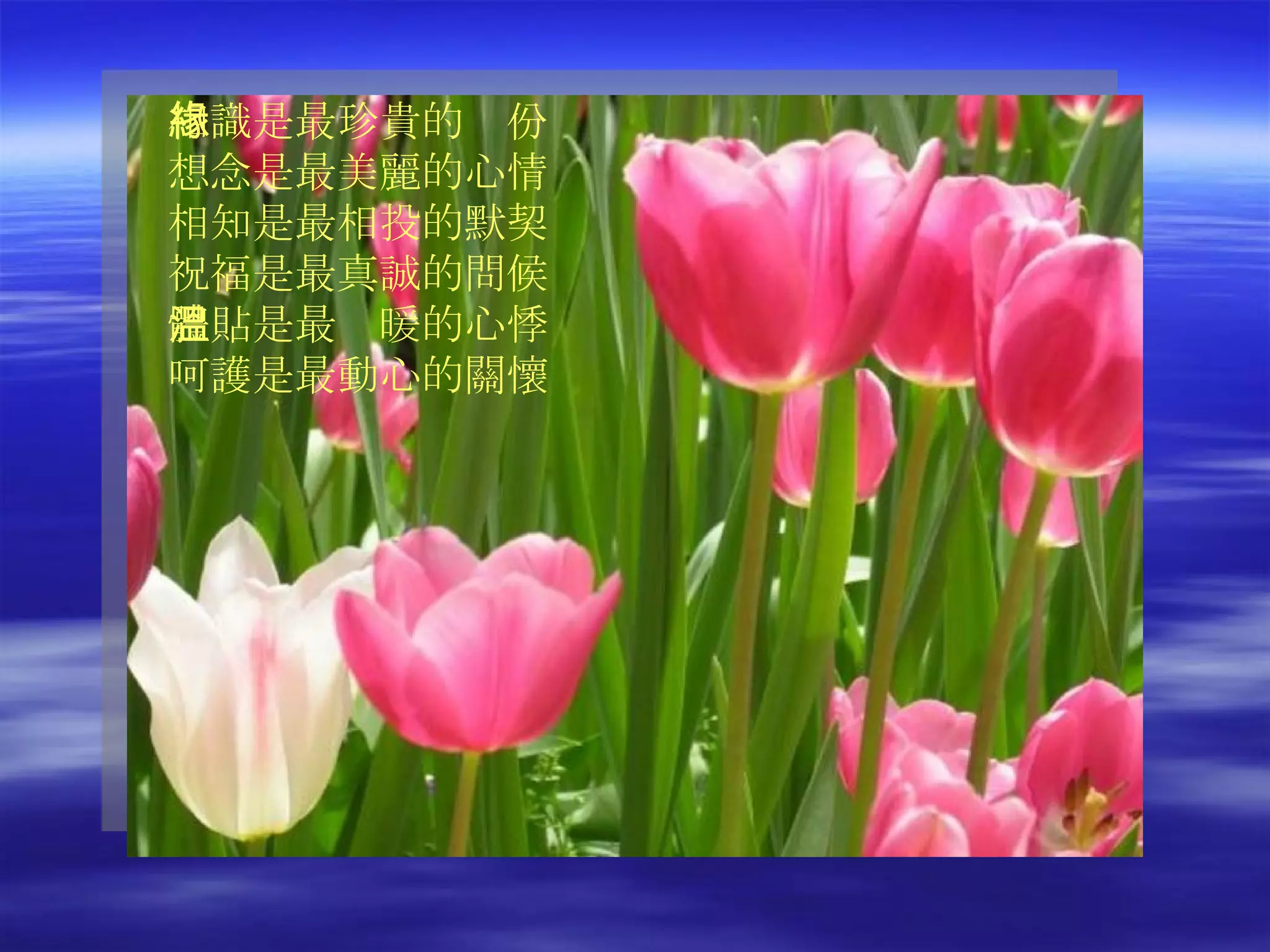 相識是最珍貴的緣份 想念是最美麗的心情 相知是最相投的默契 祝福是最真誠的問候 體貼是最溫暖的心悸 呵護是最動心的關懷 