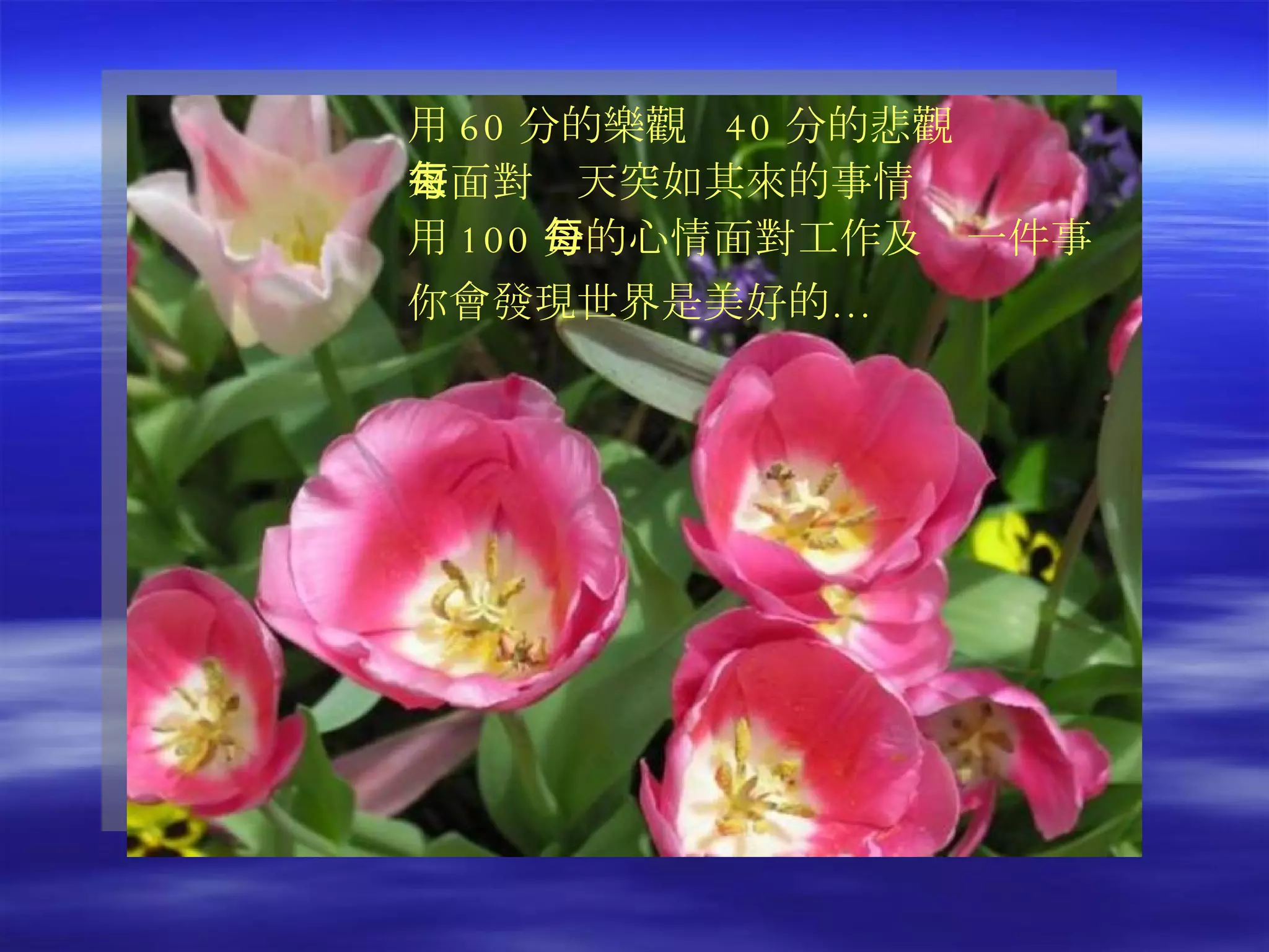 用 60 分的樂觀  40 分的悲觀 來面對每天突如其來的事情 用 100 分的心情面對工作及每一件事 你會發現世界是美好的…  　 
