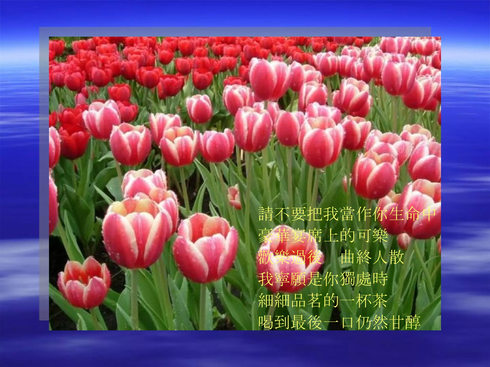 請不要把我當作你生命中 豪華宴席上的可樂 歡樂過後　曲終人散 我寧願是你獨處時 細細品茗的一杯茶 喝到最後一口仍然甘醇 