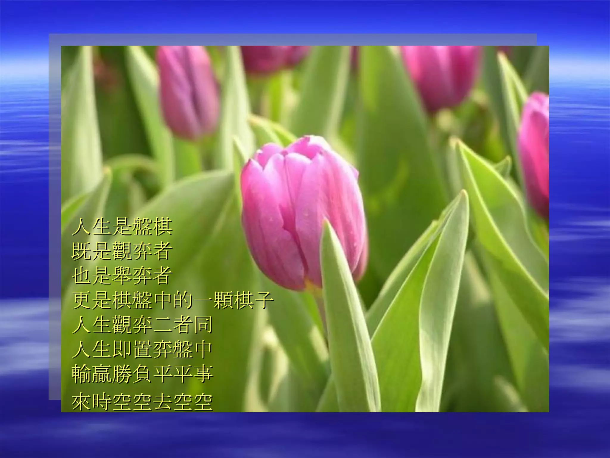 人生是盤棋 既是觀弈者 也是舉弈者 更是棋盤中的一顆棋子 人生觀弈二者同 人生即置弈盤中 輸贏勝負平平事 來時空空去空空   
