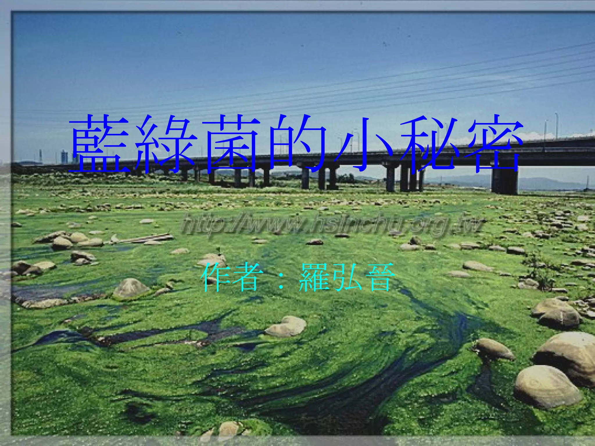 藍綠菌的小秘密 作者：羅弘晉 