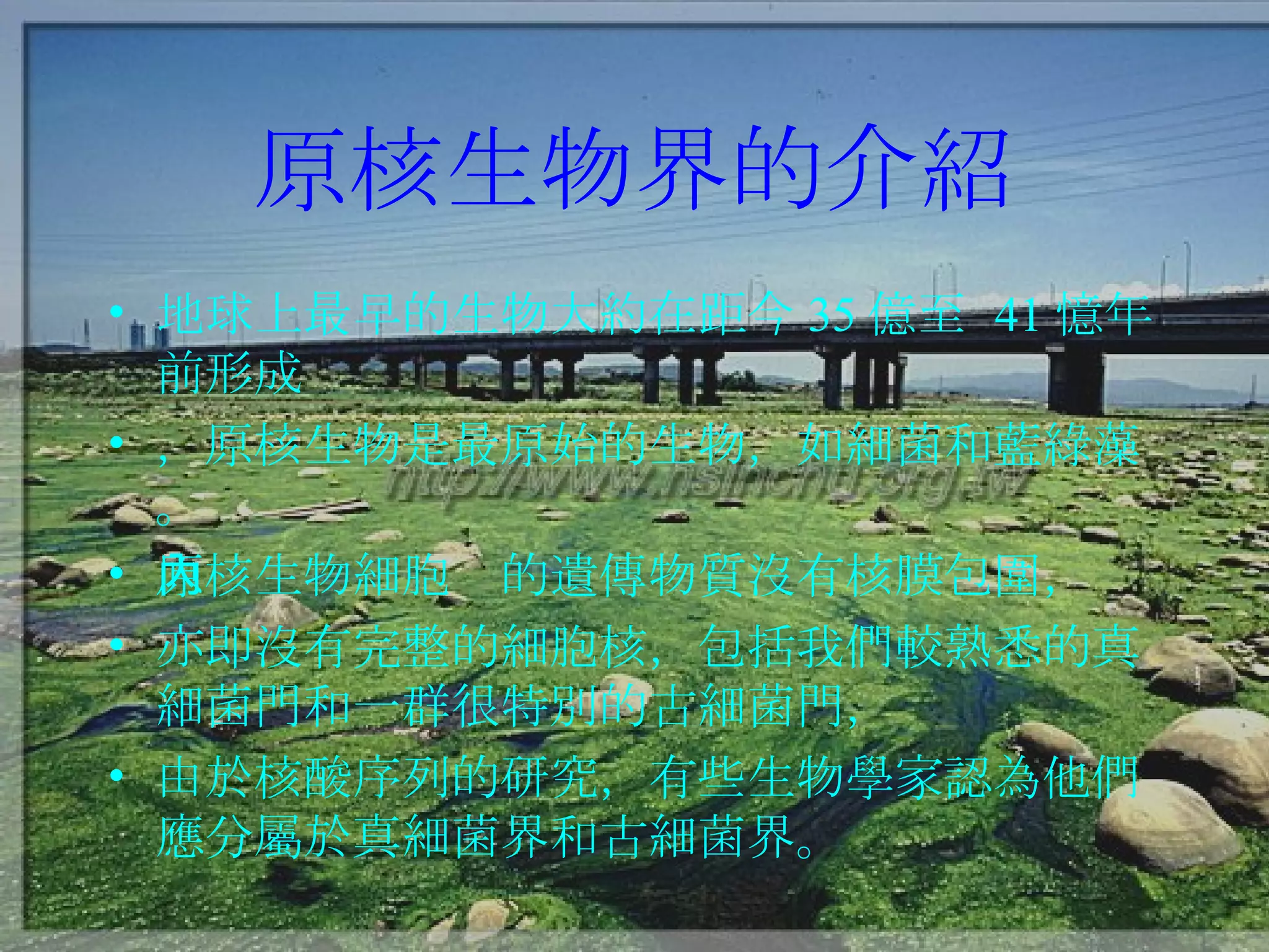 原核生物界的介紹 地球上最早的生物大約在距今 35 億至  41 憶年前形成 ，原核生物是最原始的生物，如細菌和藍綠藻。 原核生物細胞內的遺傳物質沒有核膜包圍， 亦即沒有完整的細胞核，包括我們較熟悉的真細菌門和一群很特別的古細菌門， 由於核酸序列的研究，有些生物學家認為他們應分屬於真細菌界和古細菌界。 