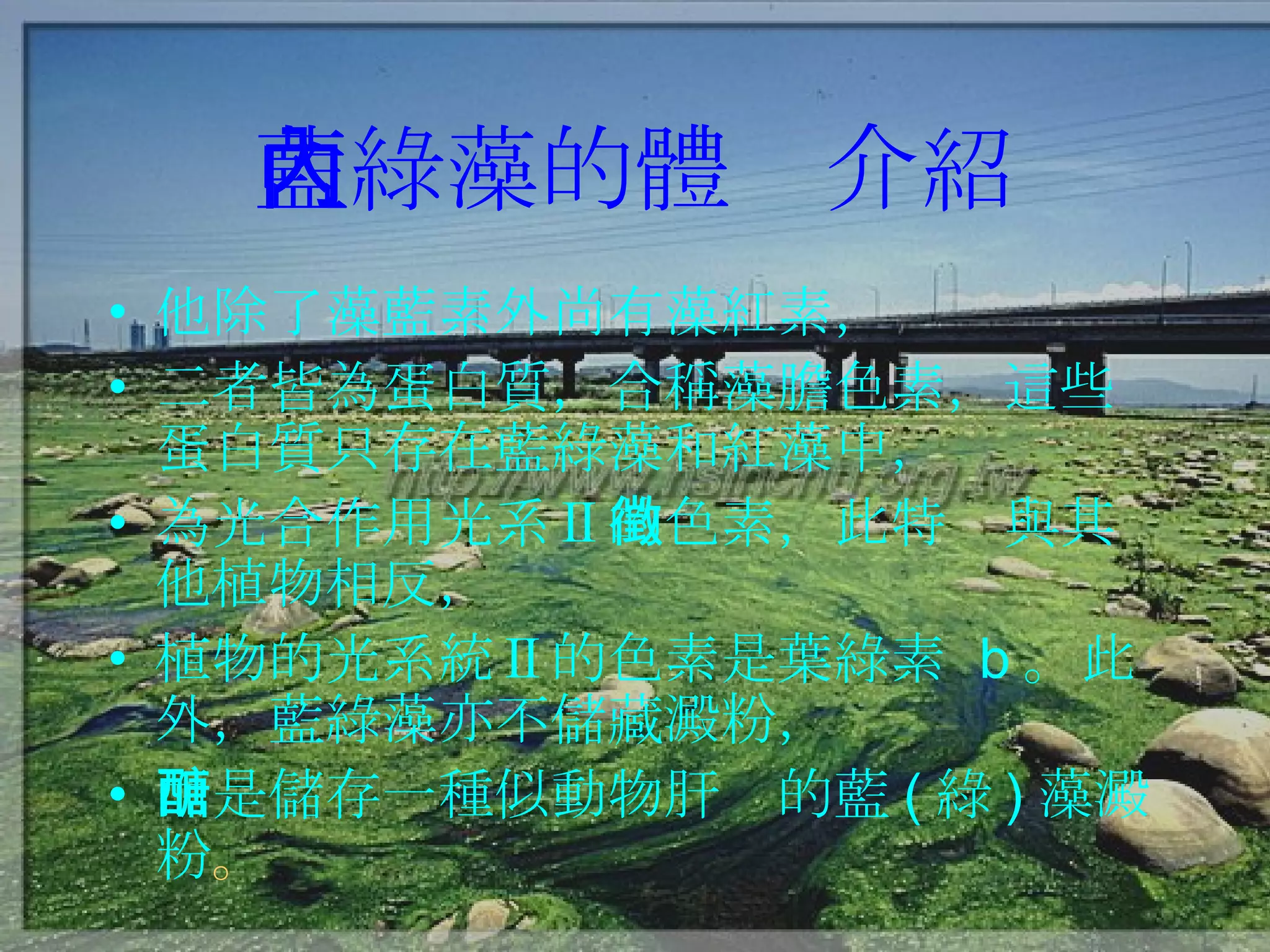 藍綠藻的體內介紹 他除了藻藍素外尚有藻紅素， 二者皆為蛋白質，合稱藻膽色素，這些蛋白質只存在藍綠藻和紅藻中， 為光合作用光系 Ⅱ 的色素，此特徵與其他植物相反， 植物的光系統Ⅱ的色素是葉綠素  b 。此外，藍綠藻亦不儲藏澱粉， 而是儲存一種似動物肝醣的藍 ( 綠 ) 藻澱粉 。 