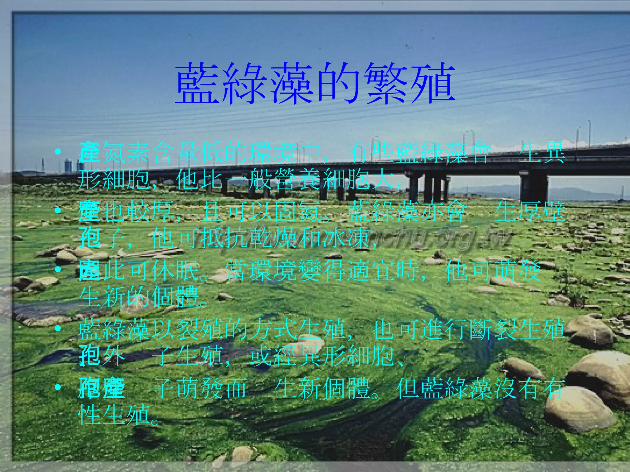 藍綠藻的繁殖 在氮素含量低的環境中，有些藍綠藻會產生異形細胞，他比一般營養細胞大， 壁也較厚，且可以固氮。藍綠藻亦會產生厚壁孢子，他可抵抗乾燥和冰凍， 因此可休眠。當環境變得適宜時，他可萌發產生新的個體。 藍綠藻以裂殖的方式生殖，也可進行斷裂生殖、外孢子生殖，或經異形細胞、 厚壁孢子萌發而產生新個體。但藍綠藻沒有有性生殖。 