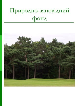 Природно-заповідний фонд 