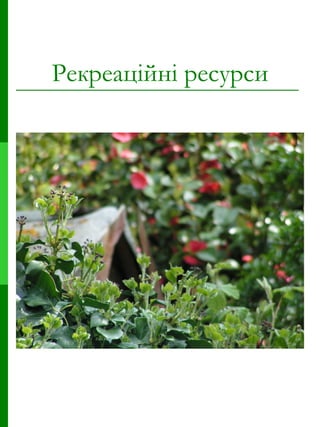 Рекреаційні ресурси 
