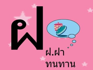 ฝ ฝ . ฝา ทนทาน 