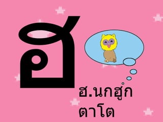 ฮ ฮ . นกฮูก ตาโต 