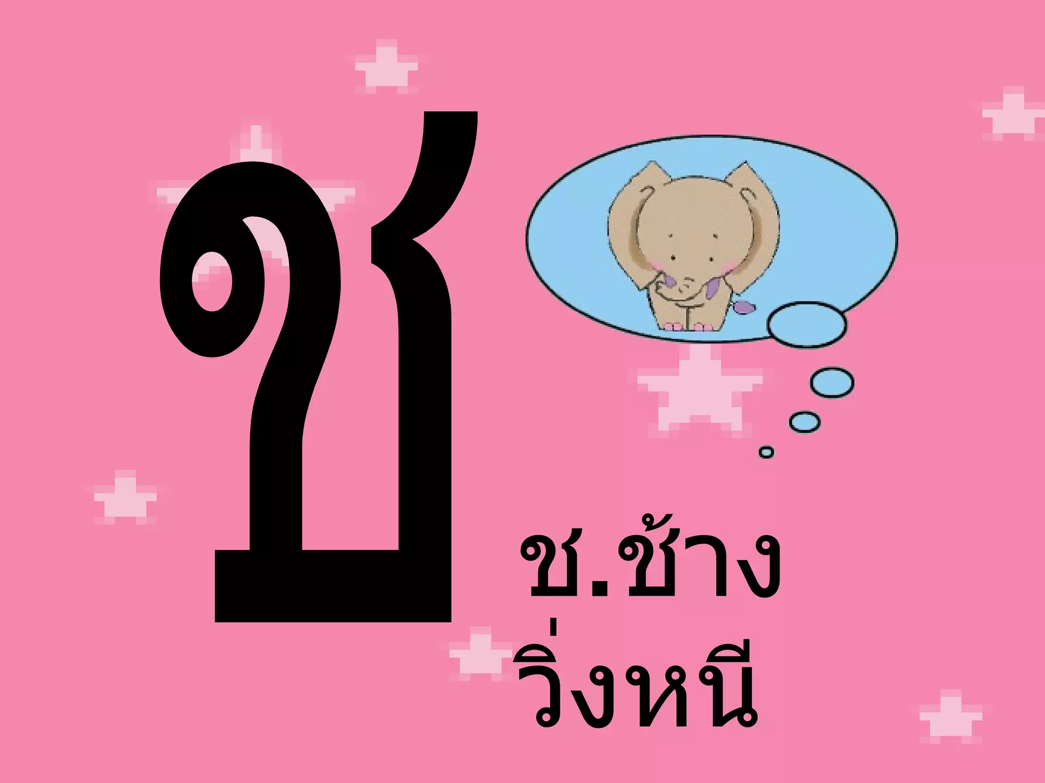 ช ช . ช้าง วิ่งหนี 